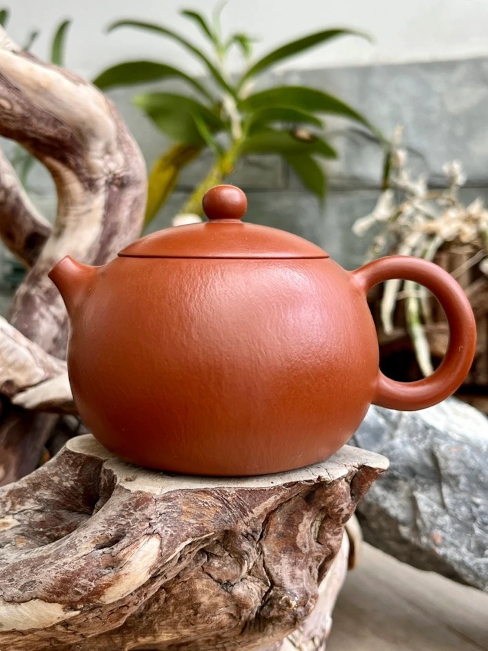 Best Xi Shi 西施 - Yixing Teapot